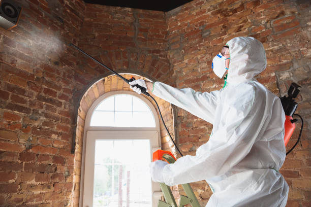 Best Biohazard Mold Removal  in Wanamassa, NJ